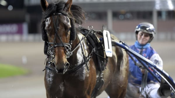 Foto: LARS JAKOBSSON / TR BILD