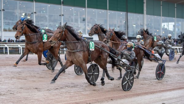 Foto: MIKAEL ROSENQUIST / TR BILD