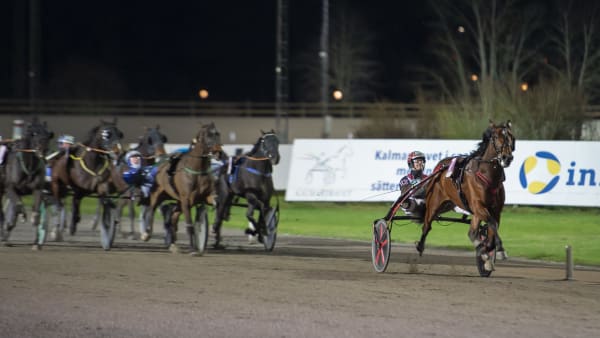 Foto: MIKAEL ROSENQUIST / TR BILD