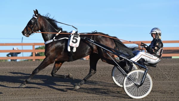 Foto: MALIN ALBINSSON / TR BILD