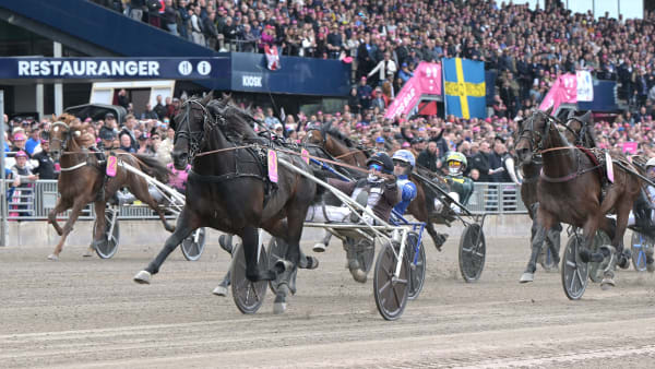 Foto: LARS JAKOBSSON / TR BILD