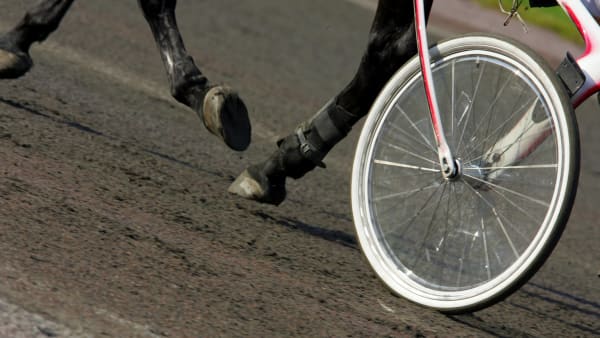 Foto: TR BILD/ MIA TÖRNBERG