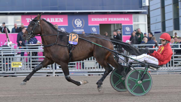 Foto: LARS JAKOBSSON / TR BILD