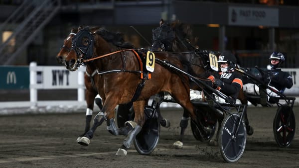 Foto: MATILDA ÖHRMAN / TR BILD