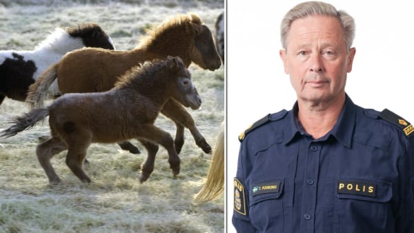 Foto: TR BILD/Polisen/Pressbild