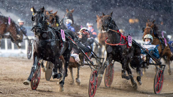 Foto: MIKAEL ROSENQUIST / TR BILD