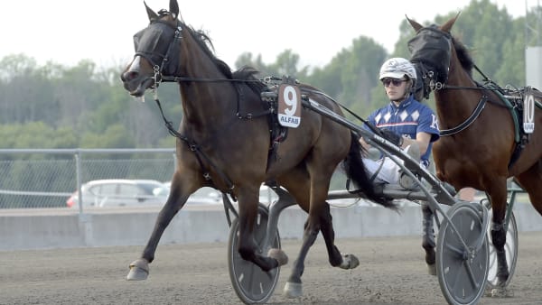 Foto: LARS JAKOBSSON / TR BILD