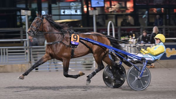 Foto: LARS JAKOBSSON / TR BILD