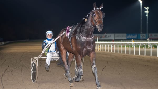 Foto: MIKAEL ROSENQUIST / TR BILD