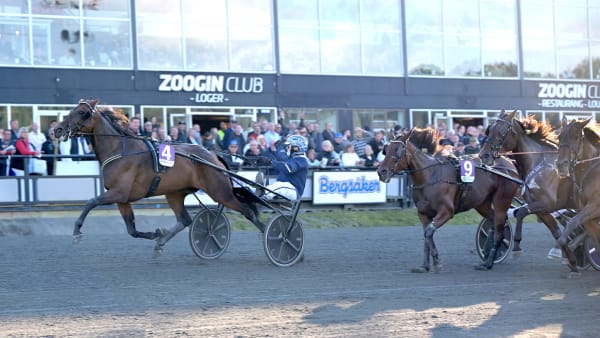 Foto: LARS JAKOBSSON / TR BILD