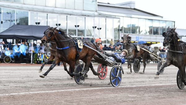 Foto: MALIN ALBINSSON / TR BILD