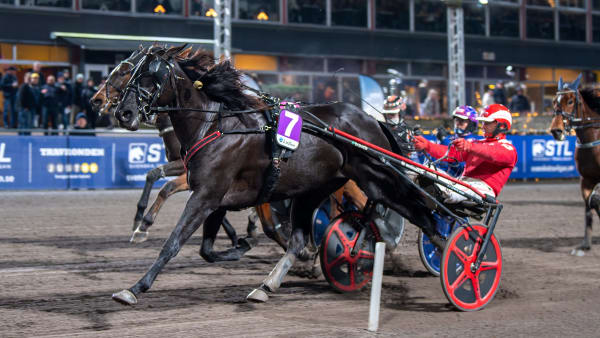 Foto: MIKAEL ROSENQUIST / TR BILD