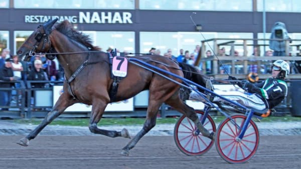 Foto: TOM JÖNEHAG/ALN