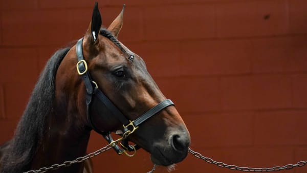 Foto: Thomas Blomqvist/TR Bild