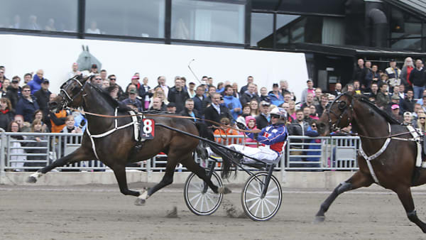 Foto: JEANNIE KARLSSON