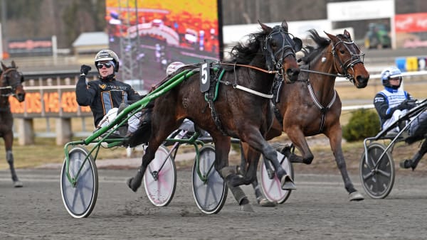 Foto: MALIN ALBINSSON / TR BILD