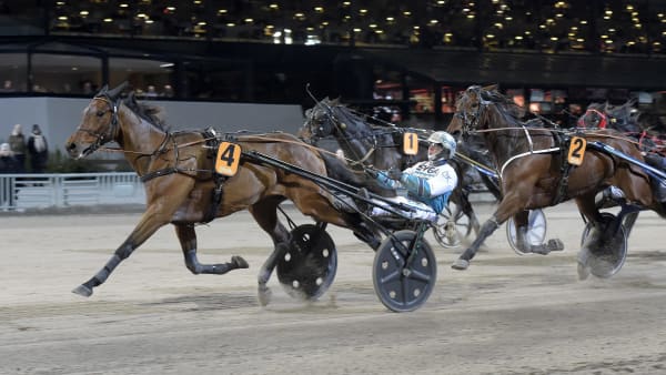 Foto: LARS JAKOBSSON / TR BILD