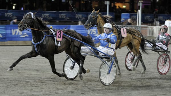 Foto: LEIF NORBERG/ALN