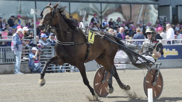 Foto: LARS JAKOBSSON / TR BILD