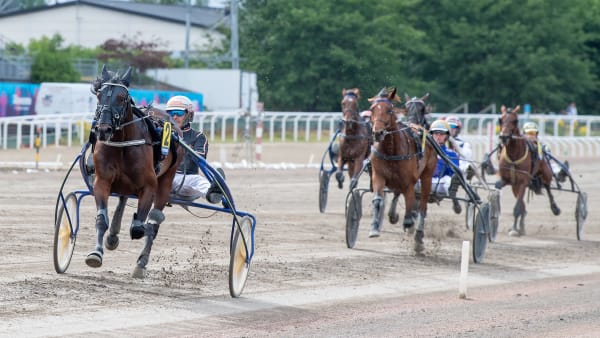 Foto: MIKAEL ROSENQUIST / TR BILD