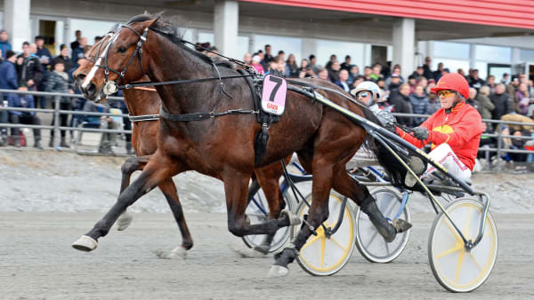 Foto: Malin Albinsson/Kanal 75