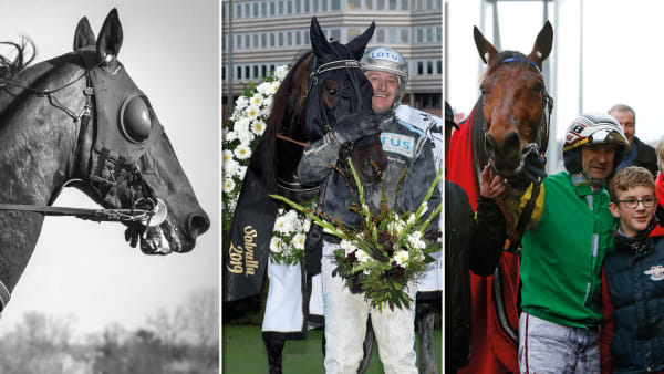 Foto: Jean-Luc Lamaère | Le Trot/Lars Jakobsson/Matilda Öhrman/TR BILD