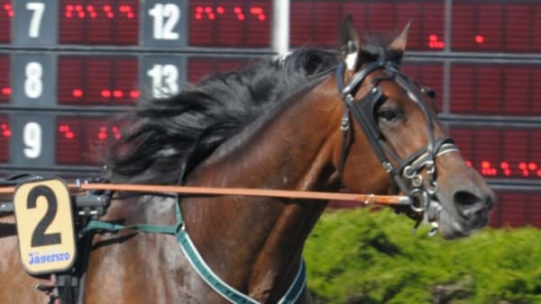 Foto: LEIF NORBERG/ALN