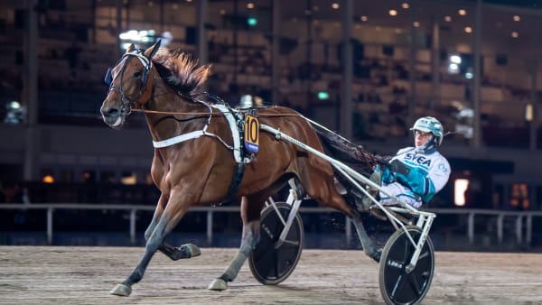 Foto: MIKAEL ROSENQUIST / TR BILD