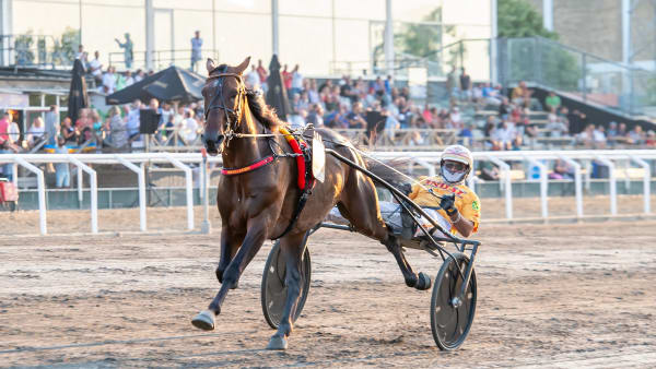 Foto: MIKAEL ROSENQUIST / TR BILD