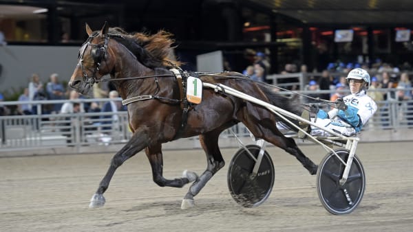 Foto: LARS JAKOBSSON / TR BILD