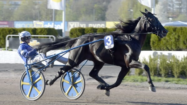 Foto: LARS JAKOBSSON / TR BILD