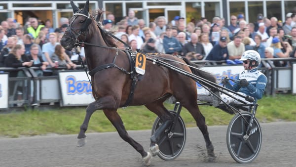 Foto: LARS JAKOBSSON / TR BILD