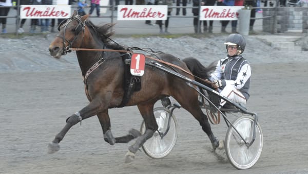 Foto: LEIF NORBERG/ALN