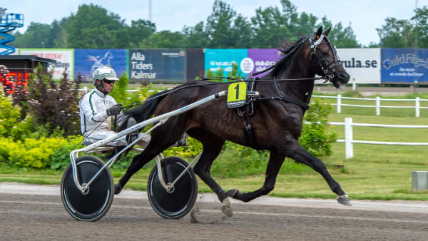 Foto: MIKAEL ROSENQUIST / TR BILD