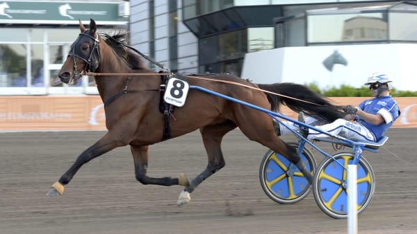 Foto: LARS JAKOBSSON / TR BILD