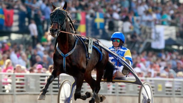 Foto: MICKE GUSTAFSSON