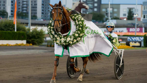 Foto: LENA EMMOTH / TR BILD