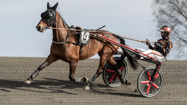 Foto: LENA EMMOTH / TR BILD