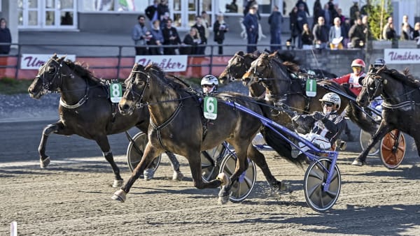 Foto: JENNY REHNMAN / TR BILD