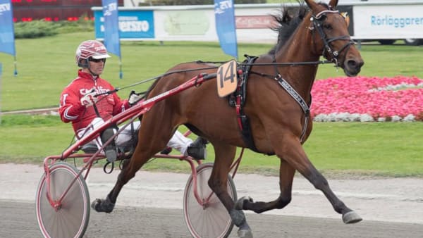 Foto: Tommy Andersson/ALN