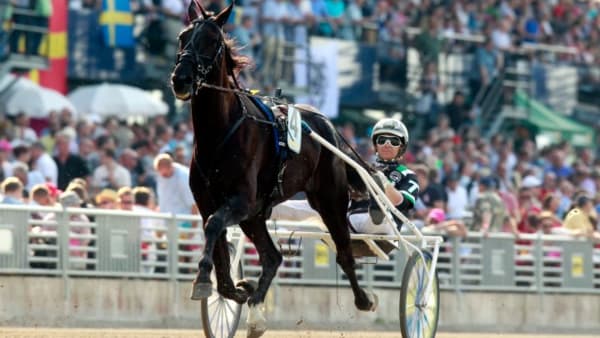 Foto: MICKE GUSTAFSSON