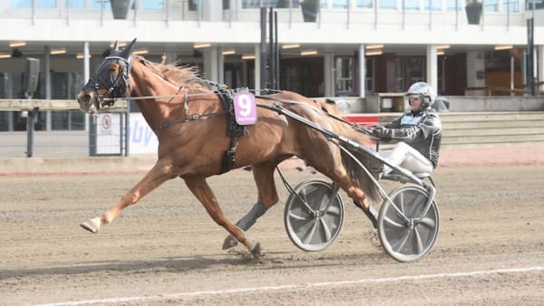 Foto: MALIN ABLINSSON/TR BILD