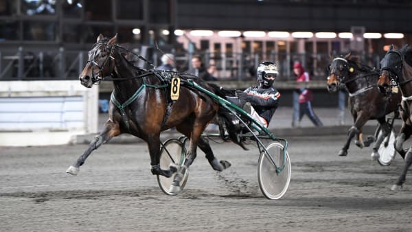 Foto: MALIN ALBINSSON / TR BILD