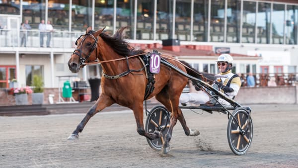 Foto: LENA EMMOTH / TR BILD