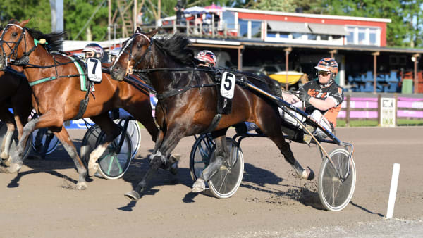 Foto: MALIN ALBINSSON / TR BILD