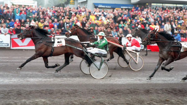 Foto: THOMAS BLOMQVIST / TR BILD