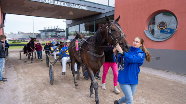 Foto: THOMAS BLOMQVIST / TR BILD