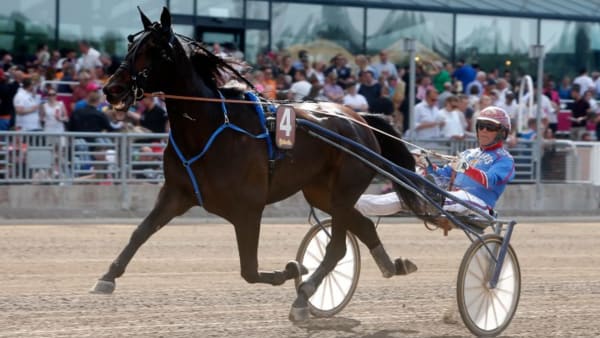 Foto: MICKE GUSTAFSSON