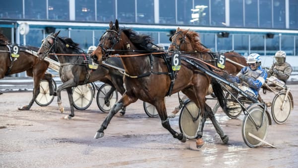 Foto: LENA EMMOTH / TR BILD