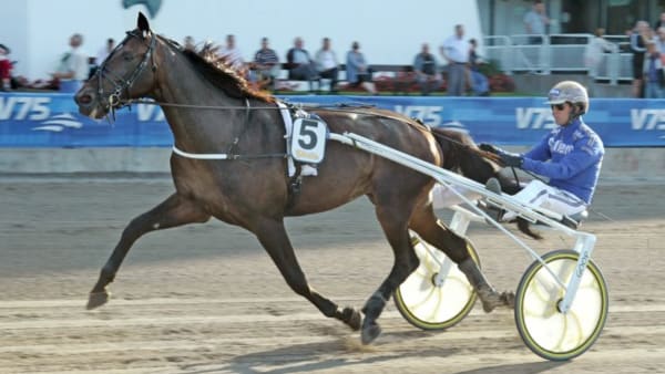 Foto: TOMMY ANDERSSON/ALN